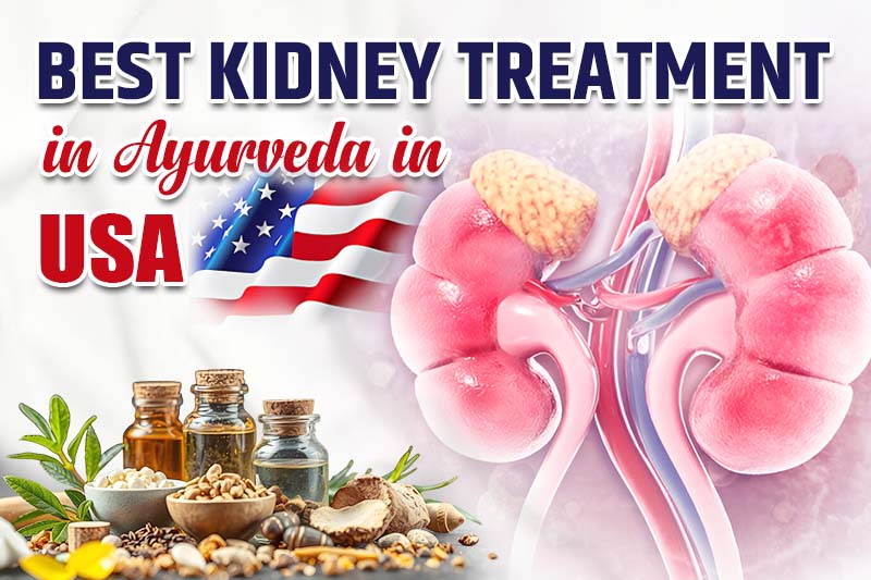 Best Kidney Treatment in Ayurveda in the USA